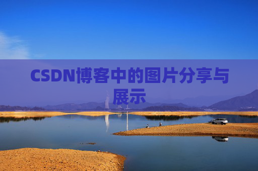 CSDN博客中的图片分享与展示